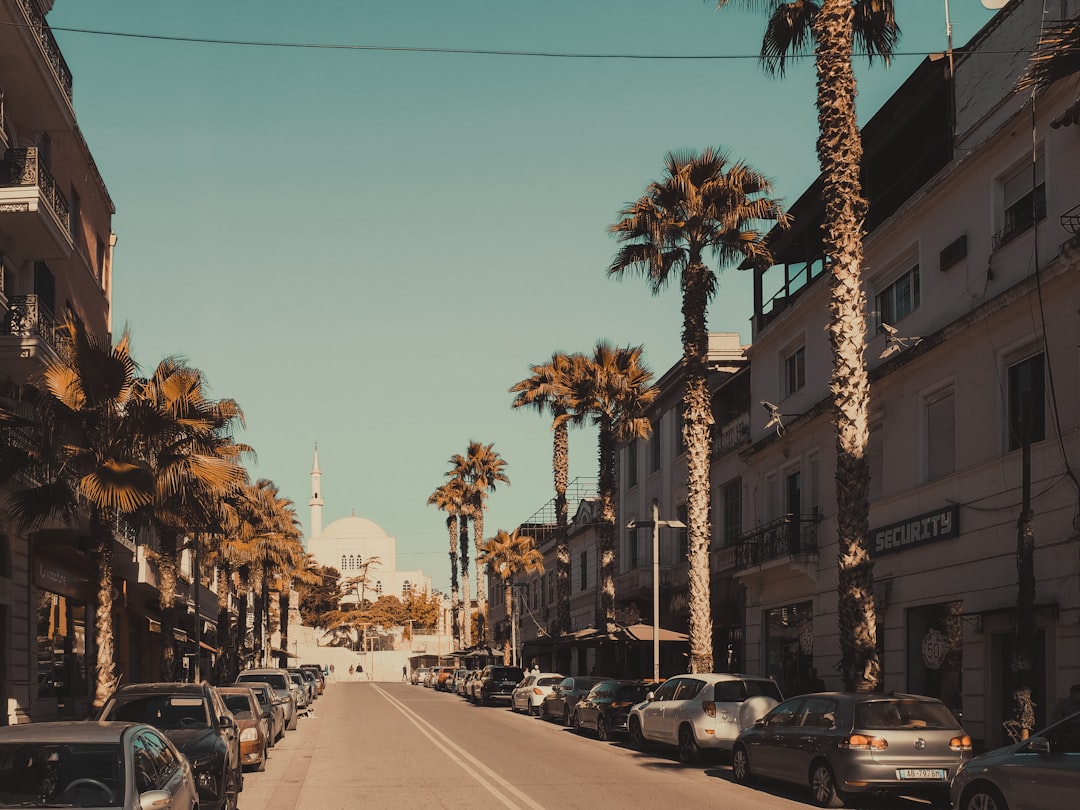 local seo palm desert