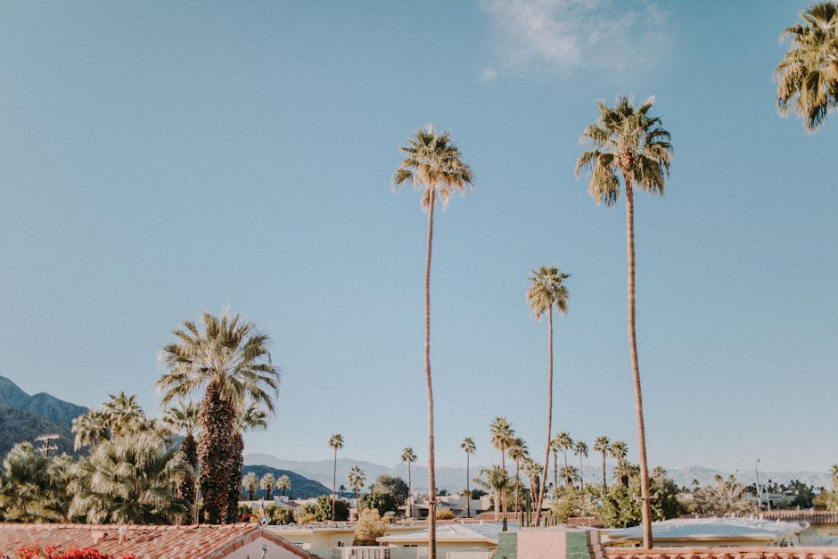 palm springs seo company