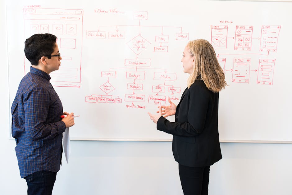 professional seo agency san diego